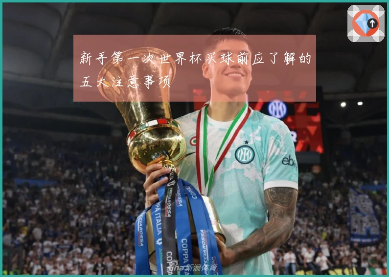 新手第一次世界杯买球前应了解的五大注意事项