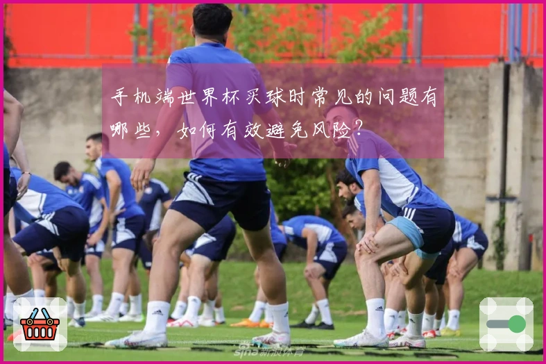 手机端世界杯买球时常见的问题有哪些，如何有效避免风险？