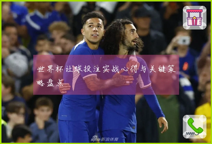 世界杯让球投注实战心得与关键策略盘点
