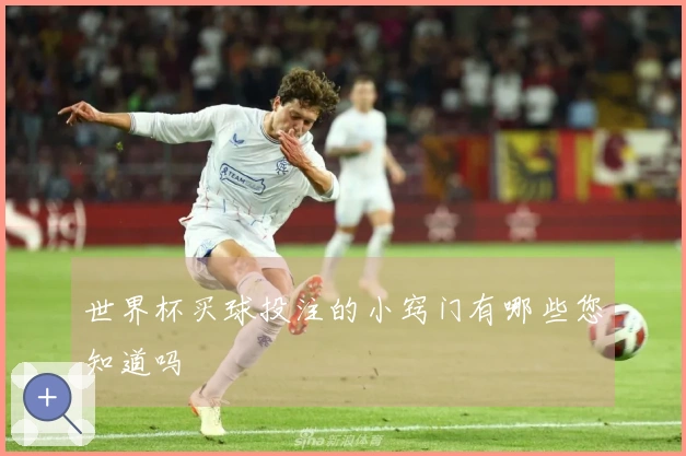 世界杯买球投注的小窍门有哪些您知道吗