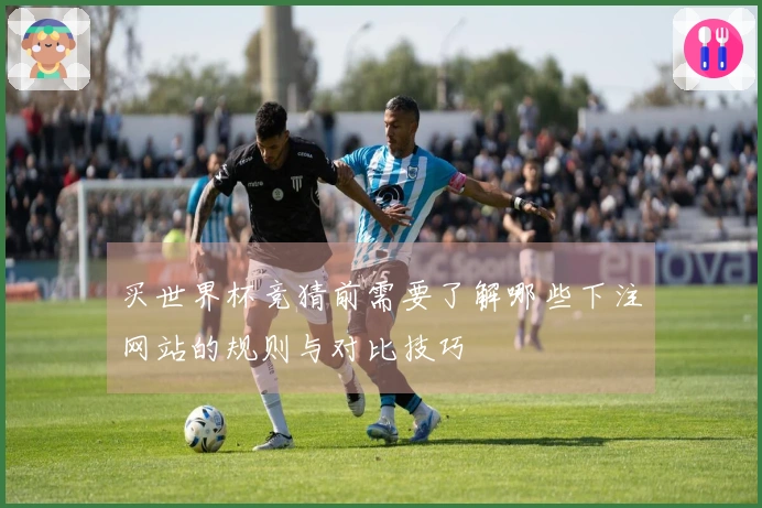 买世界杯竞猜前需要了解哪些下注网站的规则与对比技巧