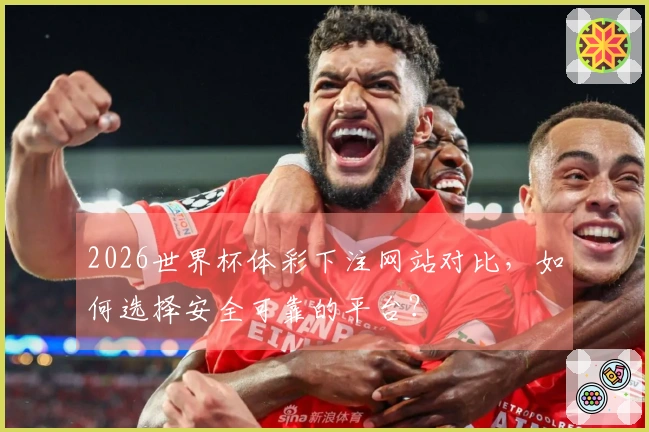 2026世界杯体彩下注网站对比，如何选择安全可靠的平台？