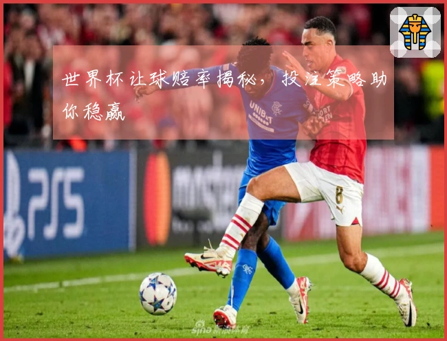 世界杯让球赔率揭秘，投注策略助你稳赢