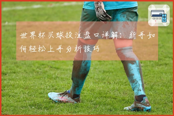 世界杯买球投注盘口详解：新手如何轻松上手分析技巧