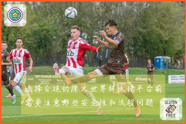 选择合适的烽火世界杯竞猜平台前需要注意哪些安全性和流程问题