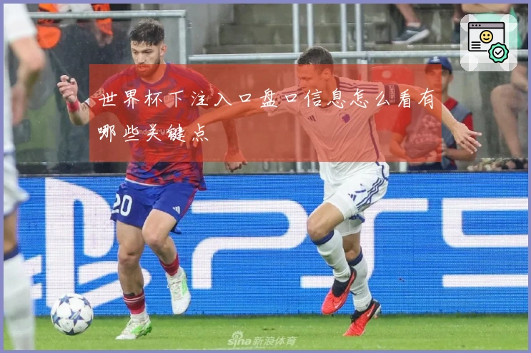 世界杯下注入口盘口信息怎么看有哪些关键点