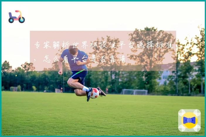 专家解析世界杯投注平台选择标准，怎么看平台是否靠谱