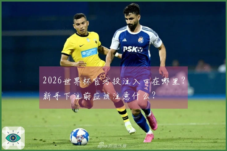 2026世界杯官方投注入口在哪里？新手下注前应该注意什么？