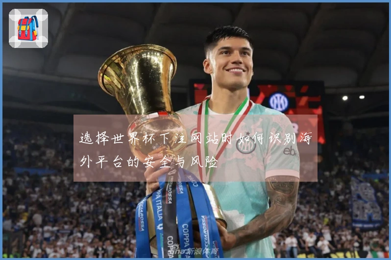 选择世界杯下注网站时如何识别海外平台的安全与风险