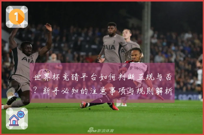 世界杯竞猜平台如何判断正规与否？新手必知的注意事项与规则解析
