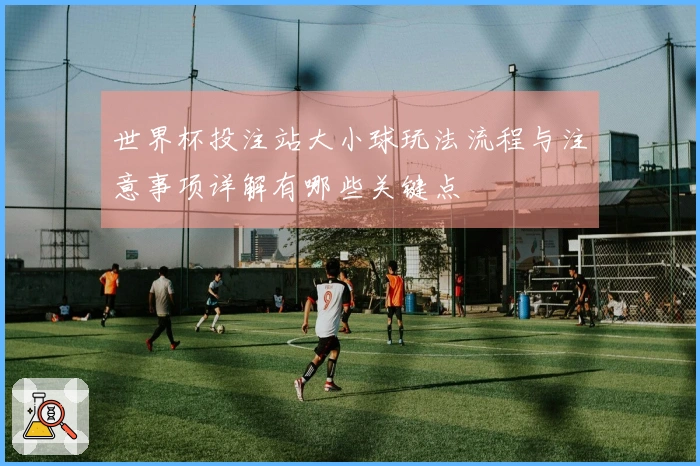 世界杯投注站大小球玩法流程与注意事项详解有哪些关键点