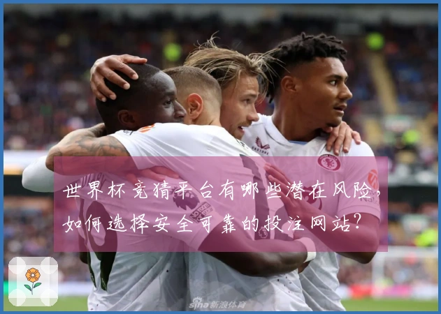 世界杯竞猜平台有哪些潜在风险，如何选择安全可靠的投注网站？