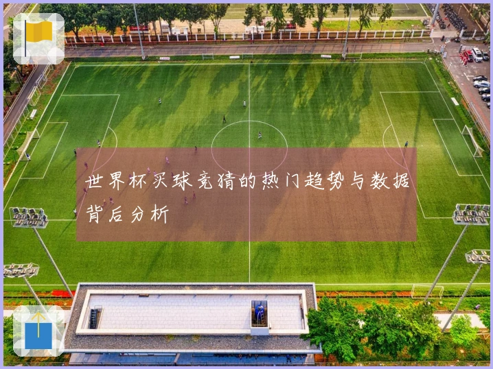 世界杯买球竞猜的热门趋势与数据背后分析