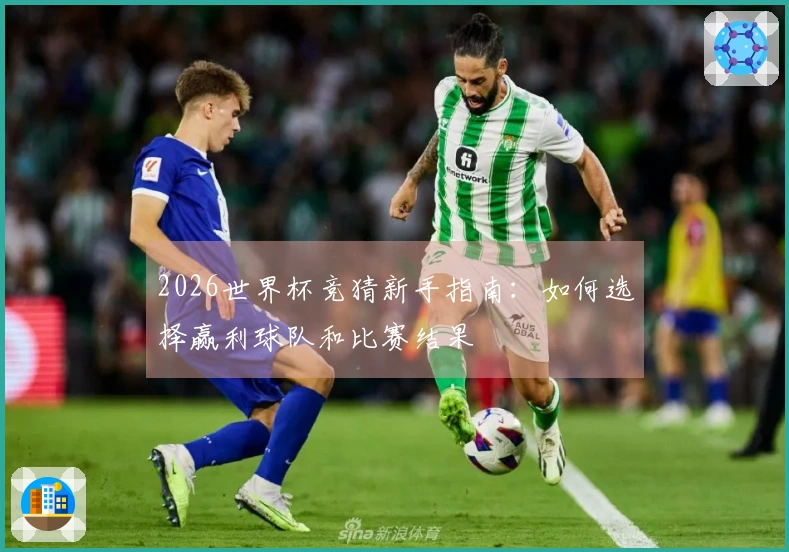 2026世界杯竞猜新手指南：如何选择赢利球队和比赛结果