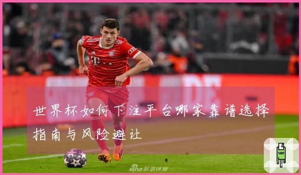 世界杯如何下注平台哪家靠谱选择指南与风险避让