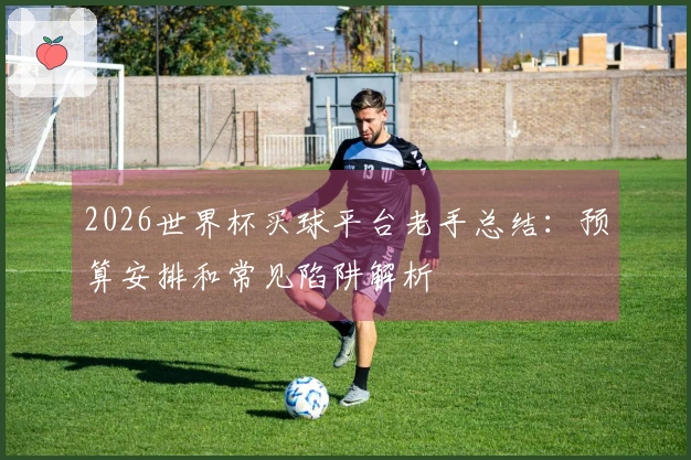 2026世界杯买球平台老手总结：预算安排和常见陷阱解析