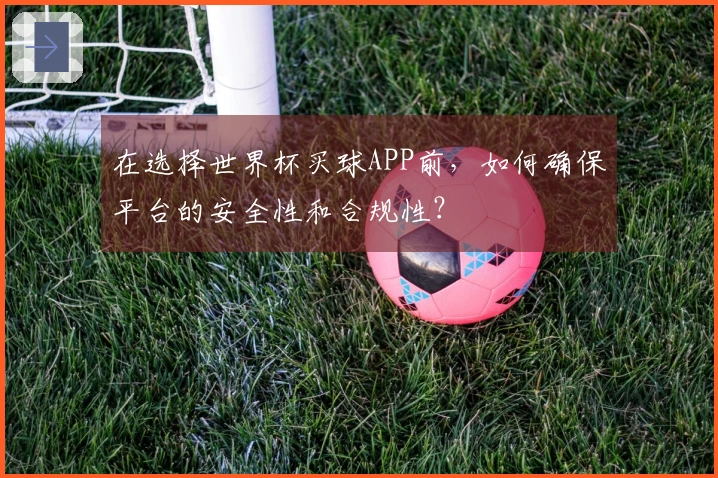 在选择世界杯买球APP前，如何确保平台的安全性和合规性？
