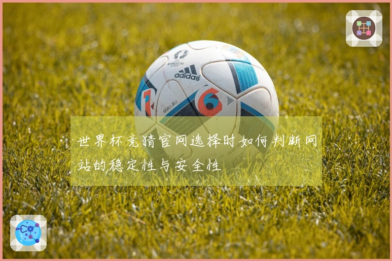 世界杯竞猜官网选择时如何判断网站的稳定性与安全性