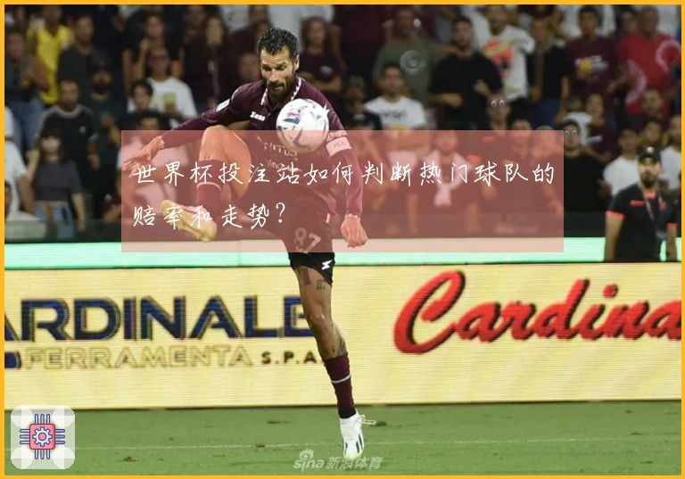 世界杯投注站如何判断热门球队的赔率和走势？