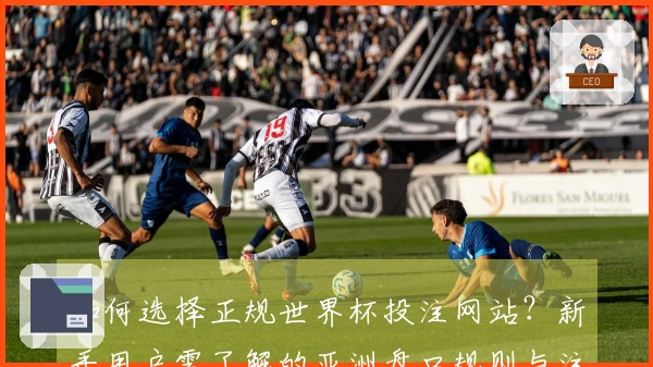 如何选择正规世界杯投注网站？新手用户需了解的亚洲盘口规则与注意事项