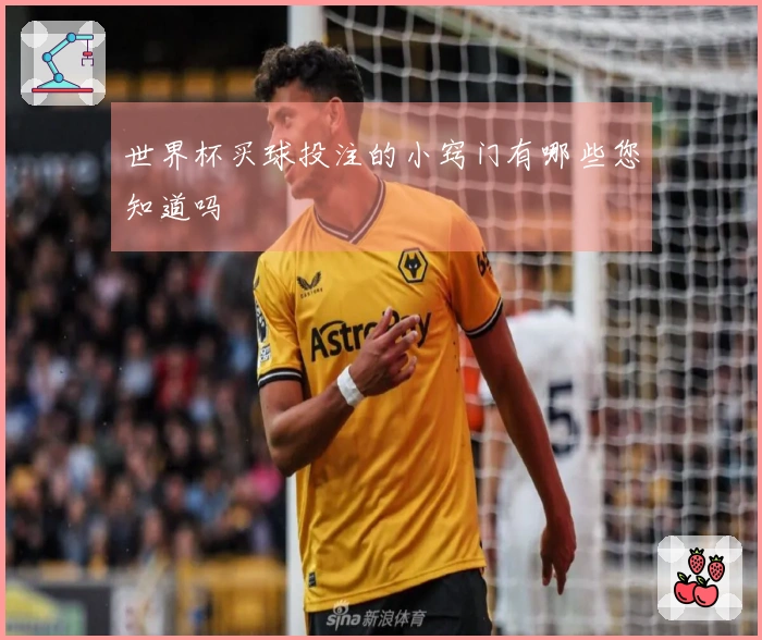 世界杯买球投注的小窍门有哪些您知道吗