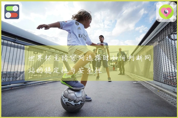 世界杯竞猜官网选择时如何判断网站的稳定性与安全性