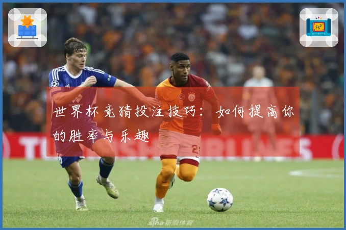 世界杯竞猜投注技巧：如何提高你的胜率与乐趣