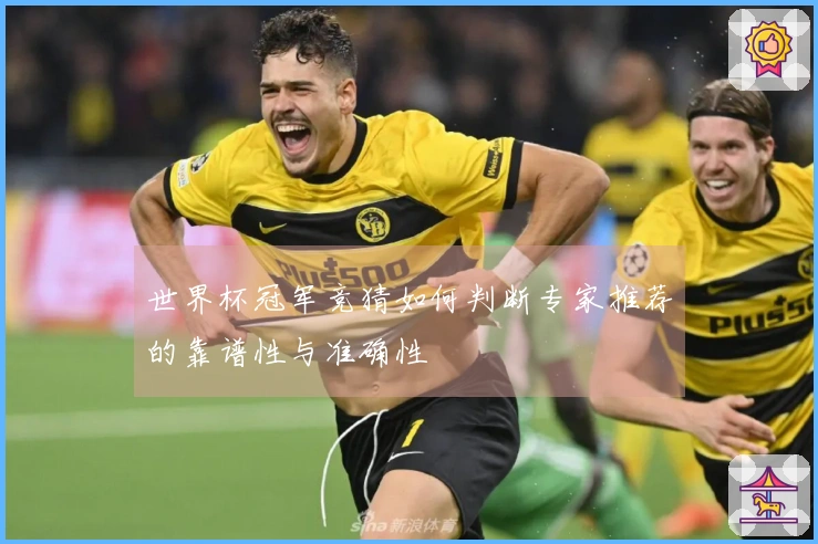 世界杯冠军竞猜如何判断专家推荐的靠谱性与准确性