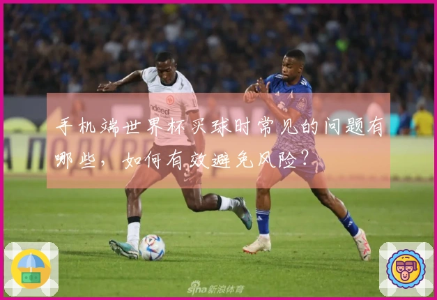 手机端世界杯买球时常见的问题有哪些，如何有效避免风险？