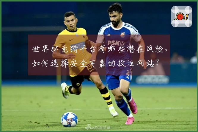 世界杯竞猜平台有哪些潜在风险，如何选择安全可靠的投注网站？