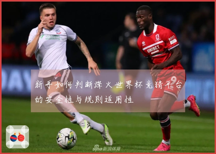 新手如何判断烽火世界杯竞猜平台的安全性与规则适用性