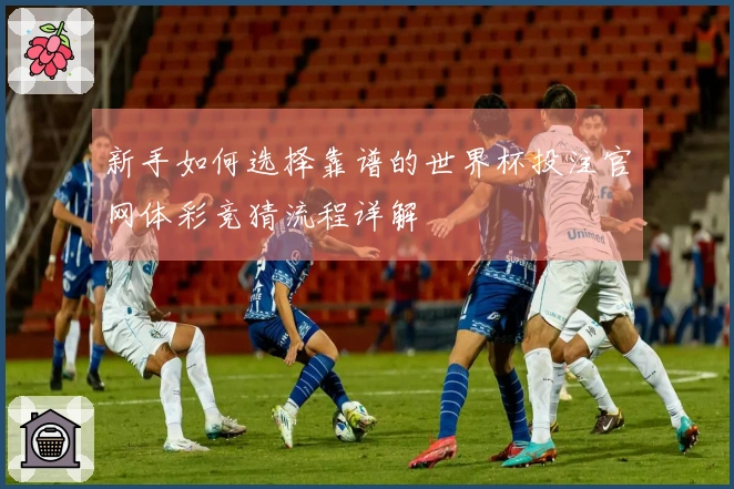 新手如何选择靠谱的世界杯投注官网体彩竞猜流程详解