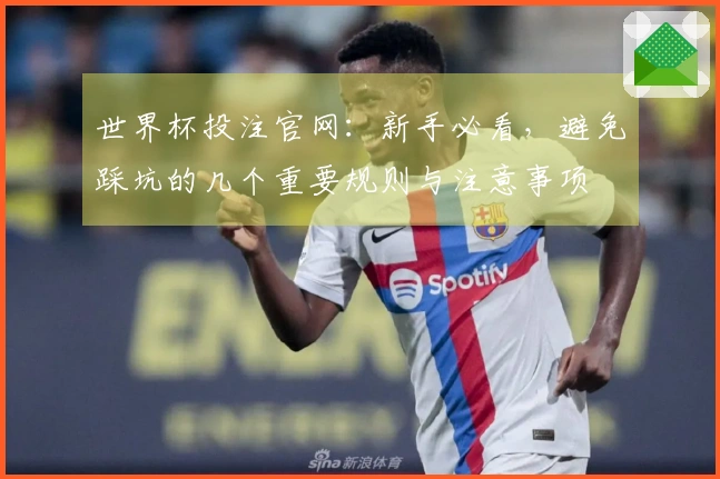 世界杯投注官网：新手必看，避免踩坑的几个重要规则与注意事项