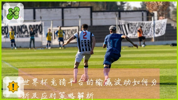世界杯竞猜平台的输赢波动如何分析及应对策略解析