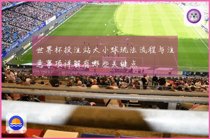 世界杯投注站大小球玩法流程与注意事项详解有哪些关键点