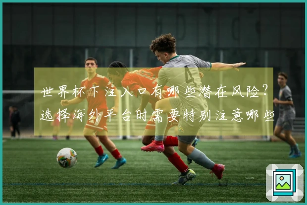 世界杯下注入口有哪些潜在风险？选择海外平台时需要特别注意哪些事项？