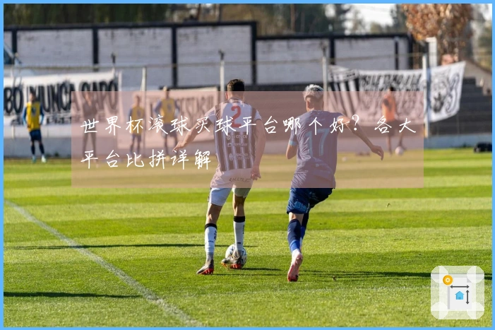 世界杯滚球买球平台哪个好？各大平台比拼详解
