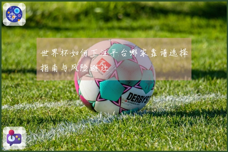 世界杯如何下注平台哪家靠谱选择指南与风险避让