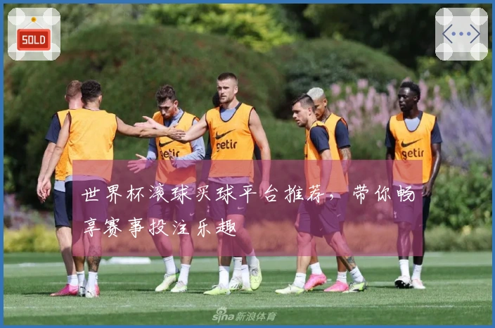 世界杯滚球买球平台推荐，带你畅享赛事投注乐趣