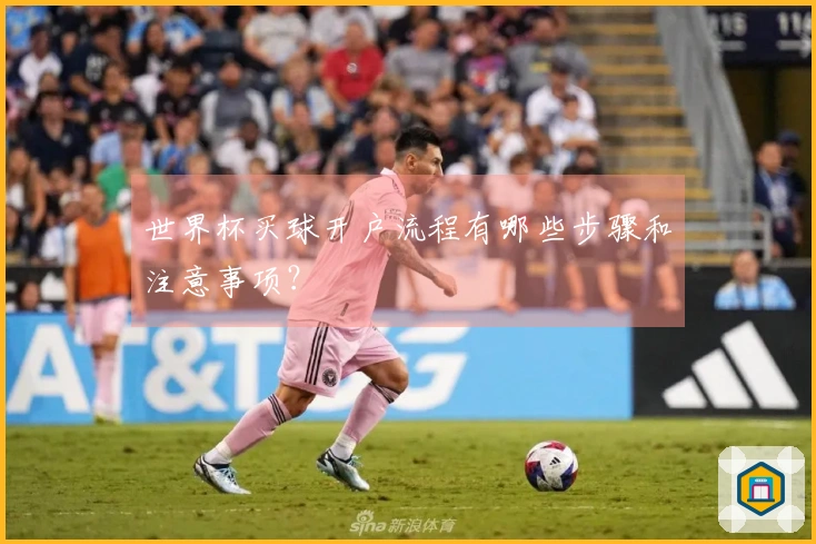 世界杯买球开户流程有哪些步骤和注意事项？